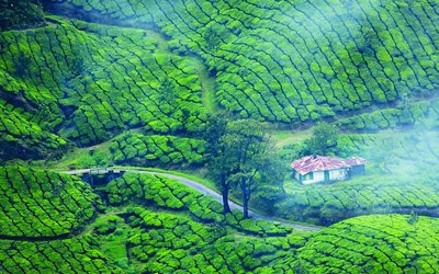 Munnar