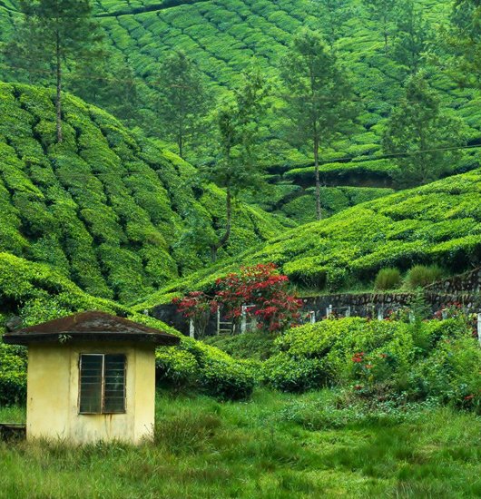 Munnar